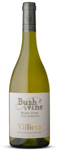 Villiera Bush Vine Sauvignon Blanc